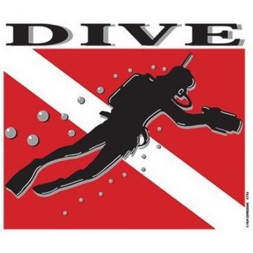 Scuba Dive Diver New Large Tote Bag Travel Beach Events Gear