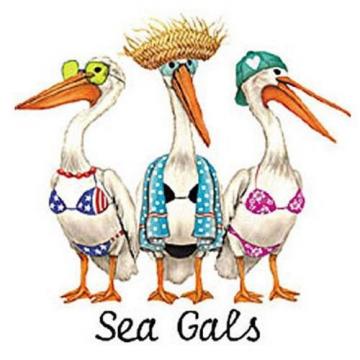 Sea Gals Pelicans New Large Canvas Cotton Beach Tote Bag